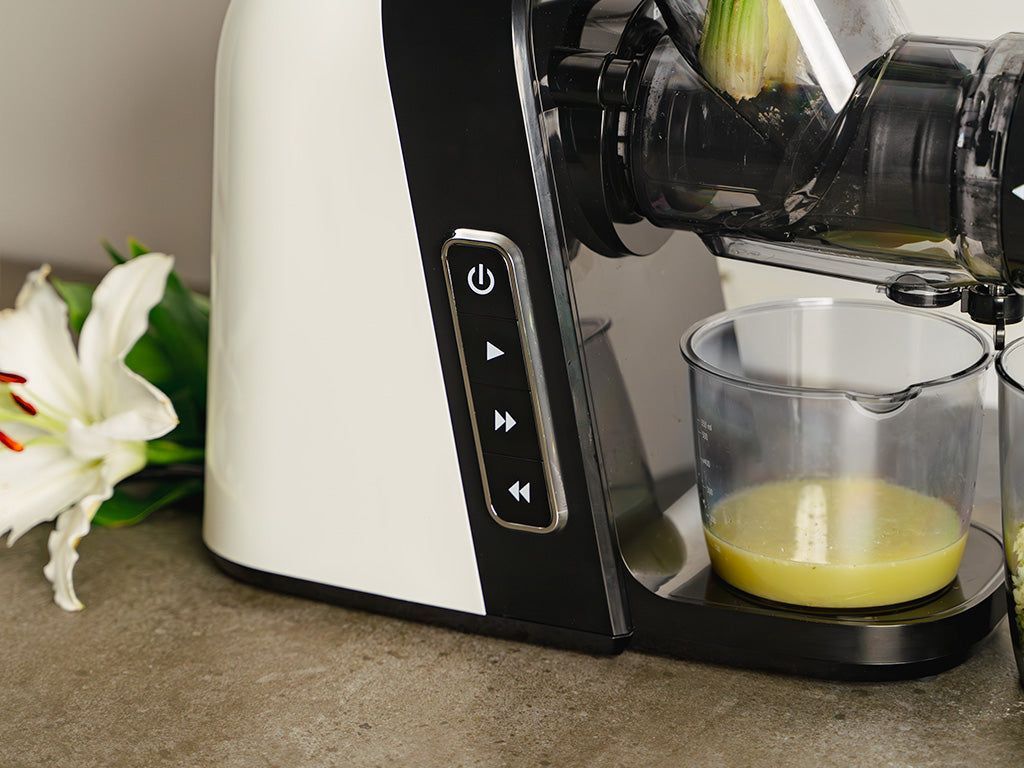 SLOW JUICER - 7
